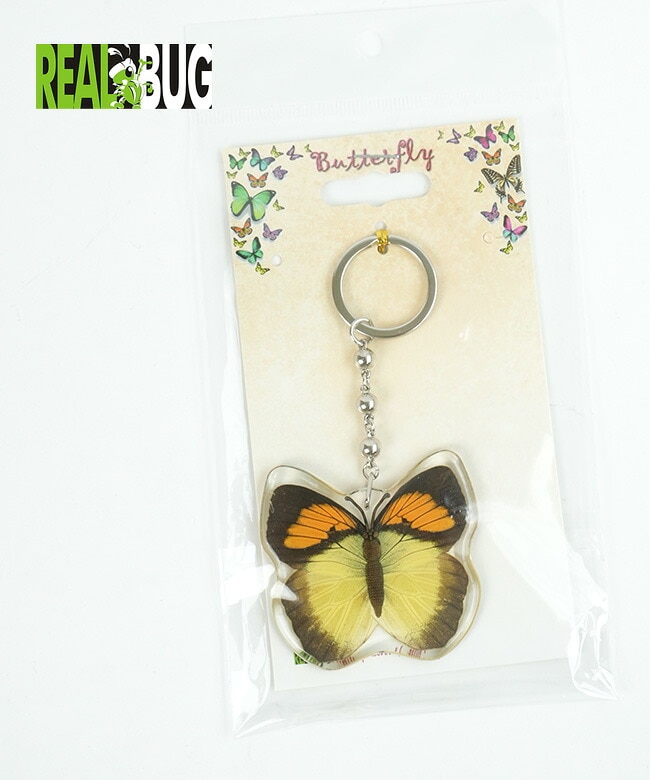 REAL BUG (リアルバグ) BUTTERFLY KEY CHAINS バタフライキーホルダー yellow orange tip butterfly (イエローオレンジチップバタフライ) [BTK107]【メール便対応可】