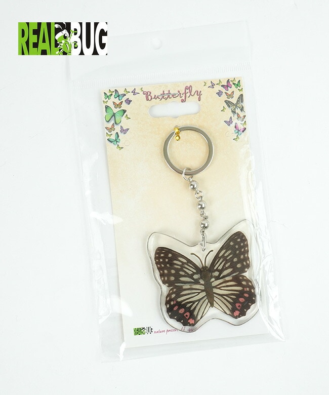 REAL BUG (リアルバグ) BUTTERFLY KEY CHAINS バタフライキーホルダー red ring skirt butterfly (アカボシゴマダラ) [BTK112]