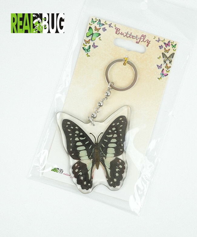 REAL BUG (リアルバグ) BUTTERFLY KEY CHAINS バタフライキーホルダー Common Jay Key Chain(コモンジェイキーチェーン) [BTK113]
