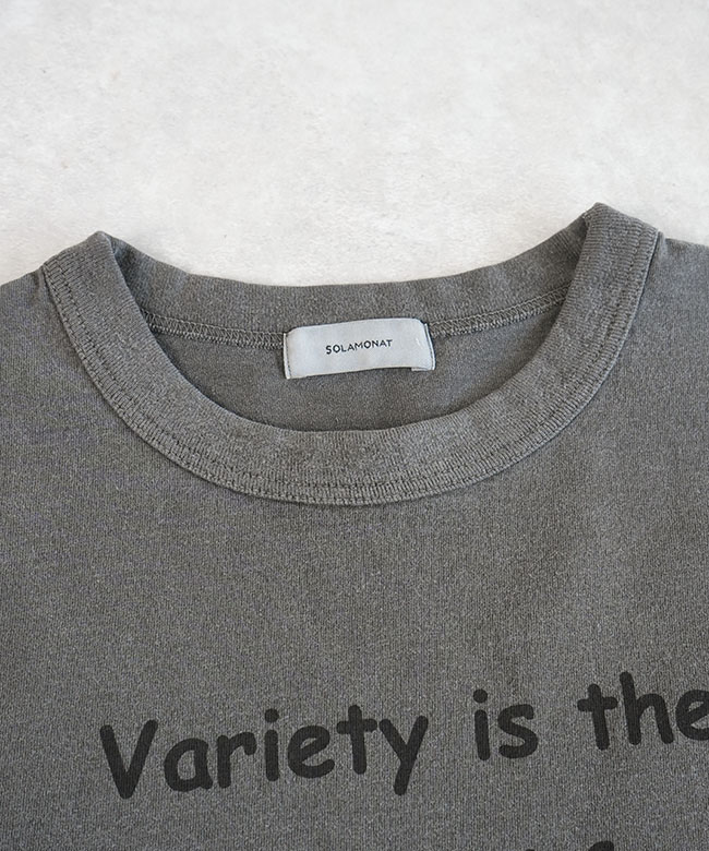 SALE 30%OFF】◇[SMA-PIG-VARI]SOLAMONAT(ソラモナ) ピグメント