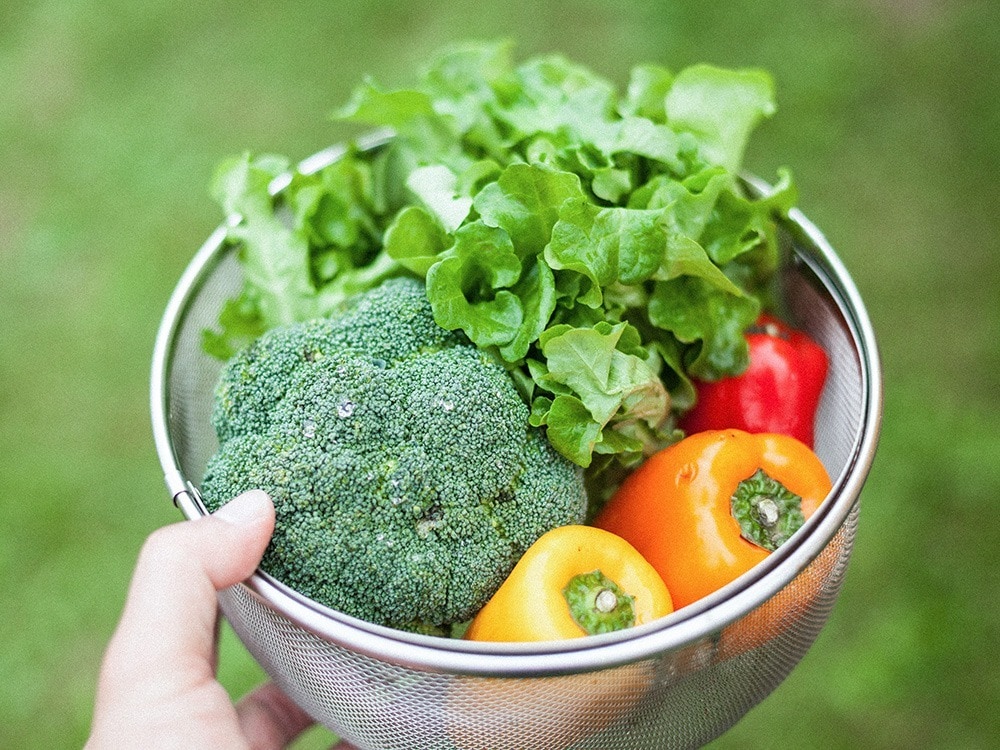 cs-023r] snow peak（スノーピーク) フィールドクッカーPRO.3