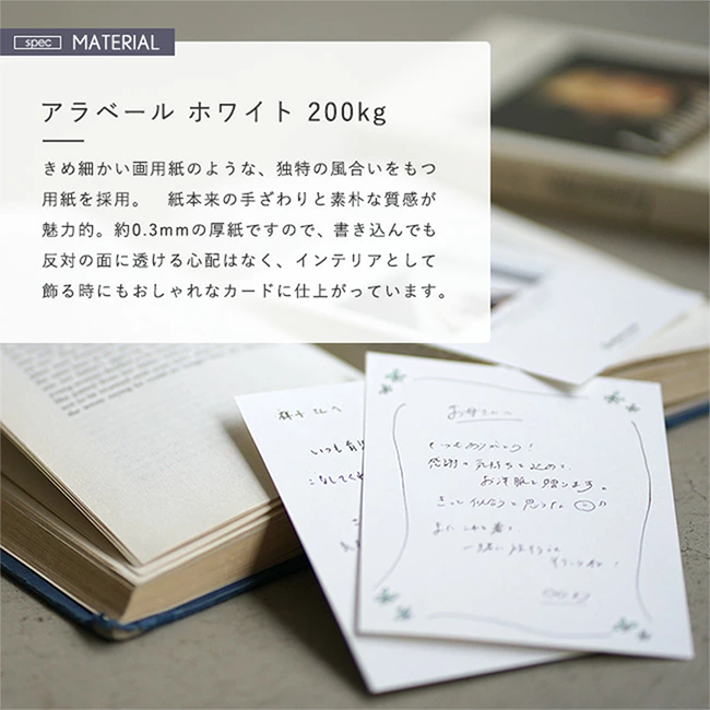 2_000000014704.png?1725236848