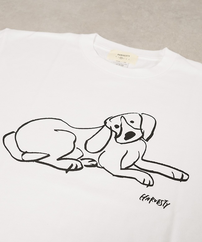 HARVESTY(ハーベスティ)PRINTED T-SH＜DOG＞プリントTee ＜いぬ