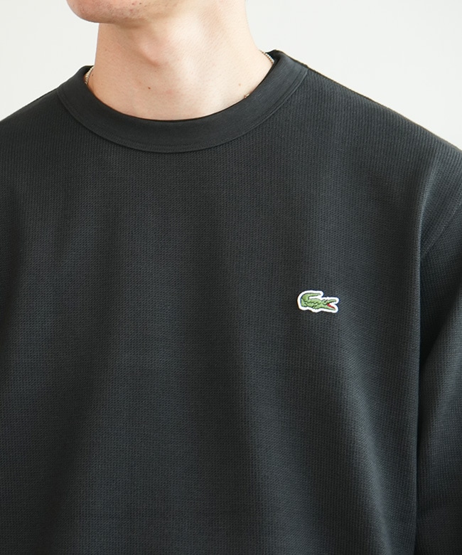 SALE 30%OFF】LACOSTE(ラコステ) ベーシックロングスリーブTシャツ