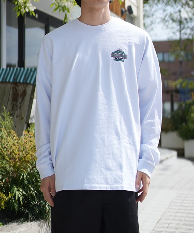 国内正規販売店】Patagonia(パタゴニア)M's L/S Great Waves