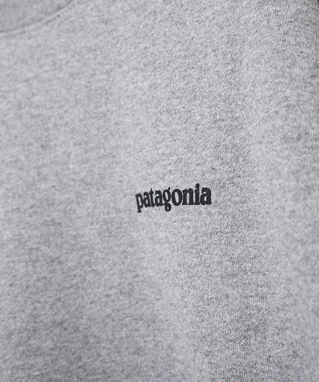 国内正規販売店】[39667]Patagonia(パタゴニア)フィッツロイ・アイコン