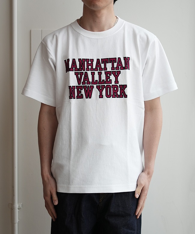 チャンピオン メンズ トップス Tシャツ Mens Champion Heather Gray