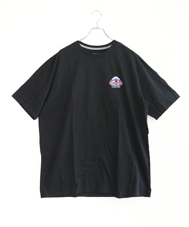国内正規販売店】Patagonia(パタゴニア)M's Great Waves Responsibili