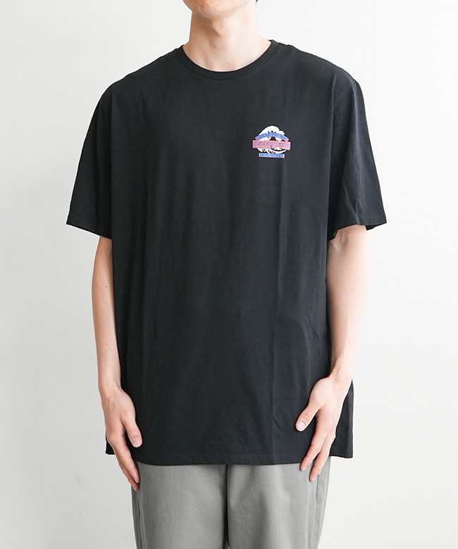 国内正規販売店】Patagonia(パタゴニア)M's Great Waves Responsibili
