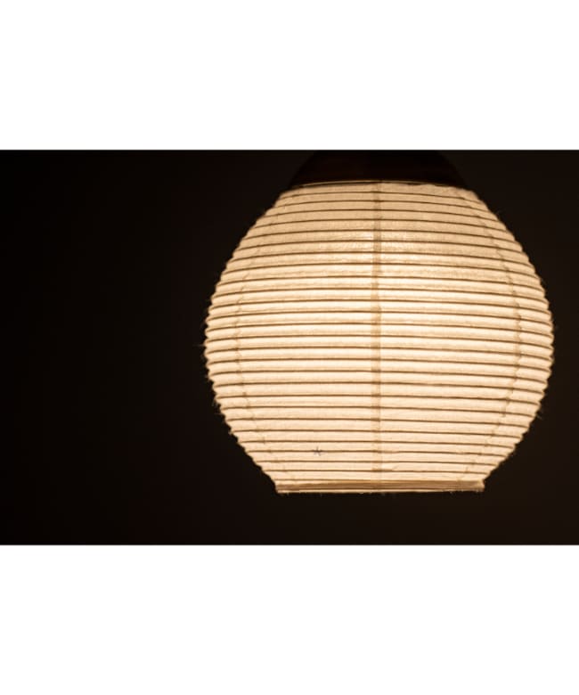 fes-450] / Snow Peak(スノーピーク) / たねほおずき提灯シェード 蕾