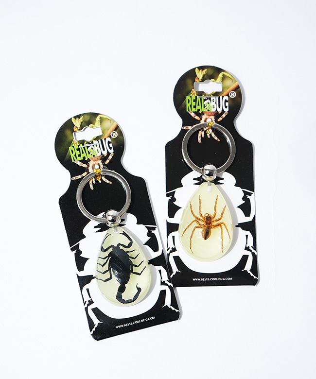 YK603/04/06/08/10]REAL BUG(リアルバグ) GOLDEN SCORPION / STAG