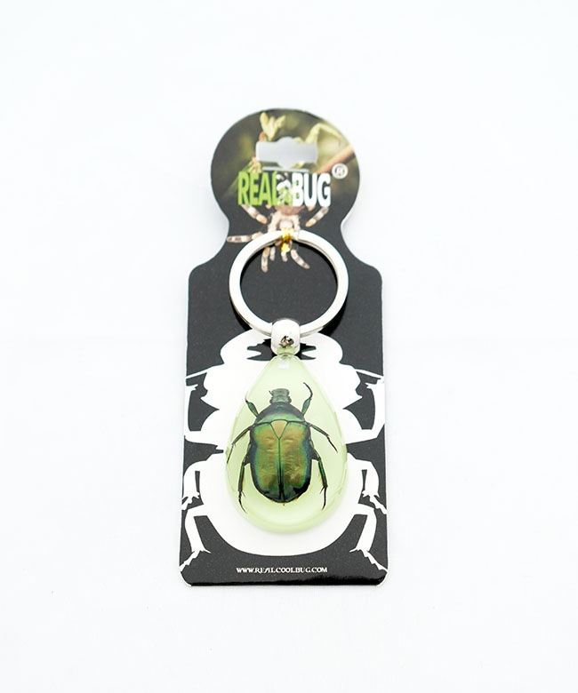 OUMUPO KRUSH HIDE STEINER ROB SWIFT 希少品 YK603/4/6]REAL BUG(リアルバグ) GOLDEN SCORPION / STAG BEETLE