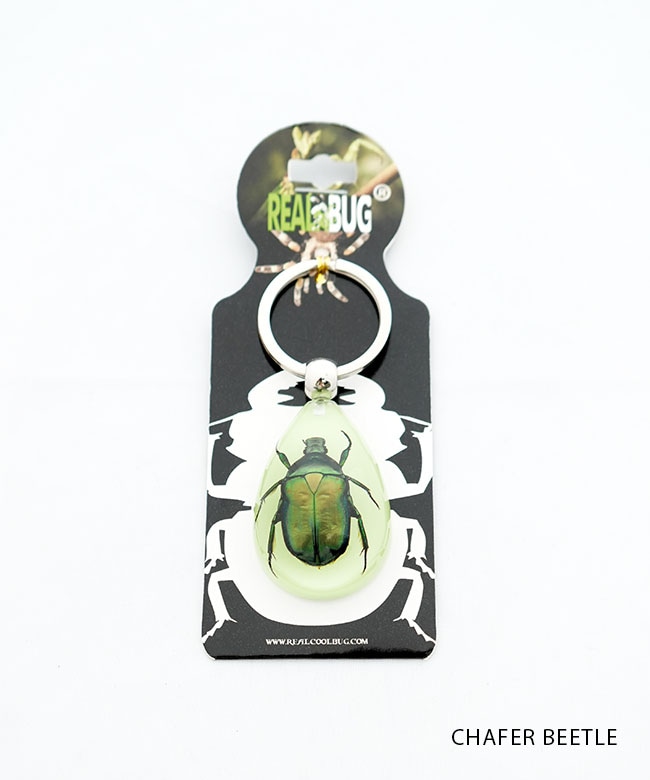 YK603/04/06/08/10]REAL BUG(リアルバグ) GOLDEN SCORPION / STAG