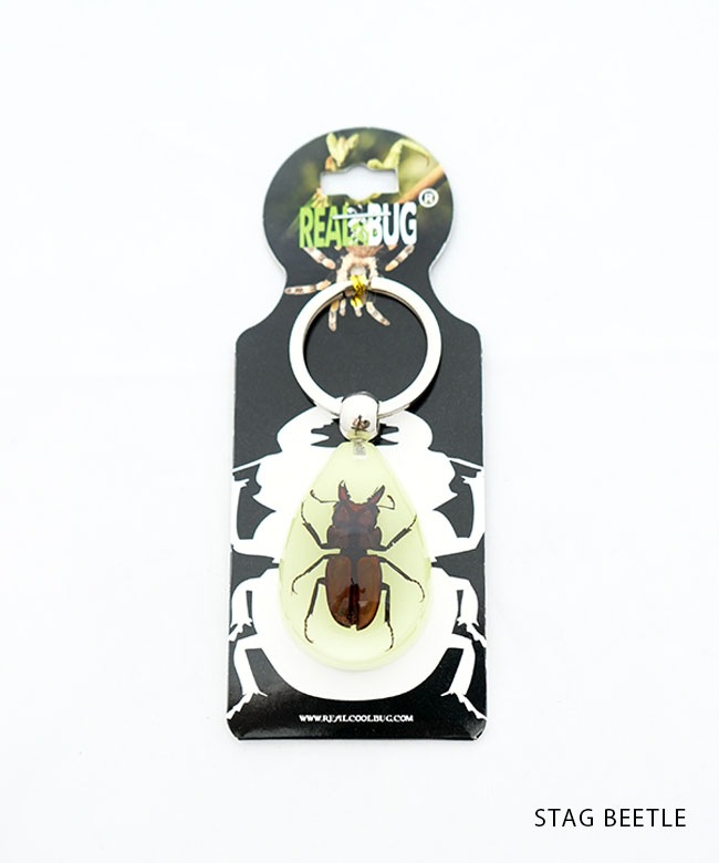 OUMUPO KRUSH HIDE STEINER ROB SWIFT 希少品 CHR-0006/FWRF-017 黒田節:佐々木 久美 / KIMONO 櫻井 哲夫