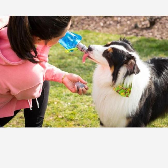 30147] / Vapur(ヴェイパー) / EZ LICK DOG BOTTLE 0.7L【ラッピング