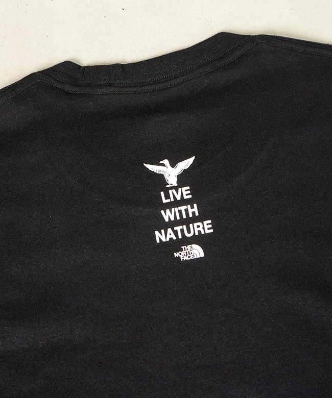 ◇THE NORTH FACE(ザ・ノース・フェイス) L/S Zoo Picker Tee ロング