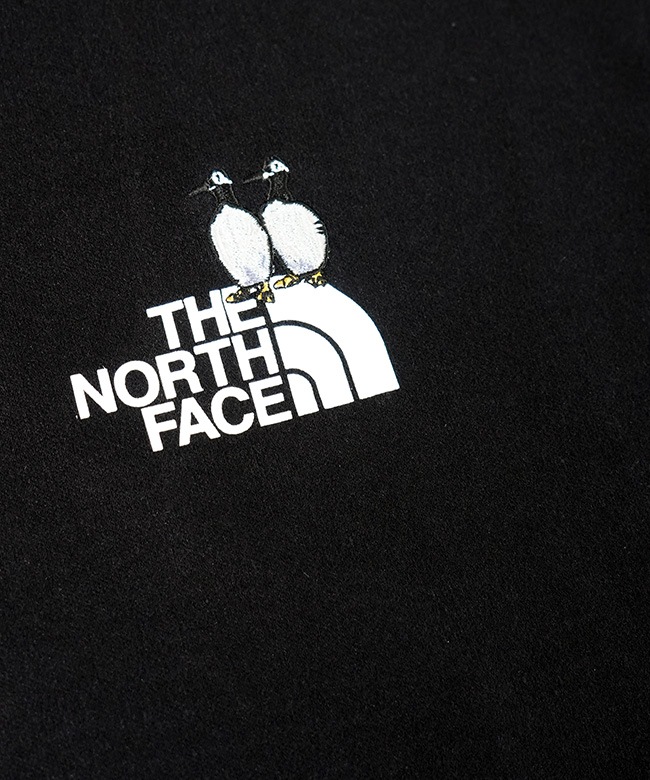 ◇THE NORTH FACE(ザ・ノース・フェイス) L/S Zoo Picker Tee ロング