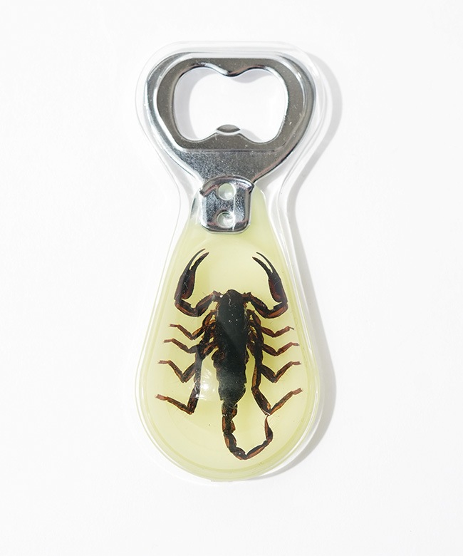 REAL BUG(リアルバグ) Magnetic Bottle Opener マグネット式ボトル