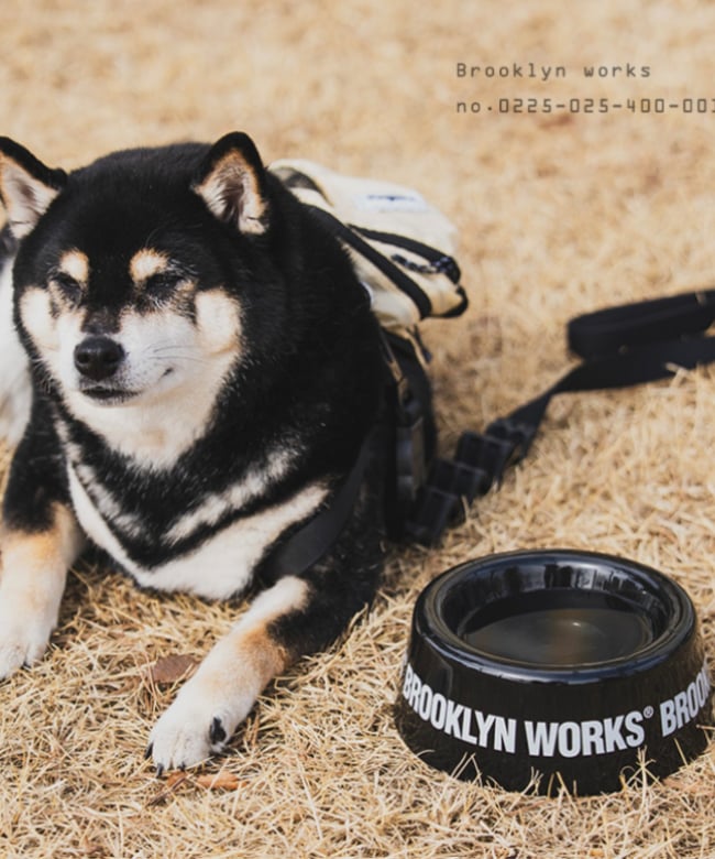 BROOKLYN WORKS(ブルックリンワークス) / PET BOWL【ペット】【割れ物 BROOKLYN WORKS(ブルックリンワークス) / PET BOWL【ペット】【割れ物