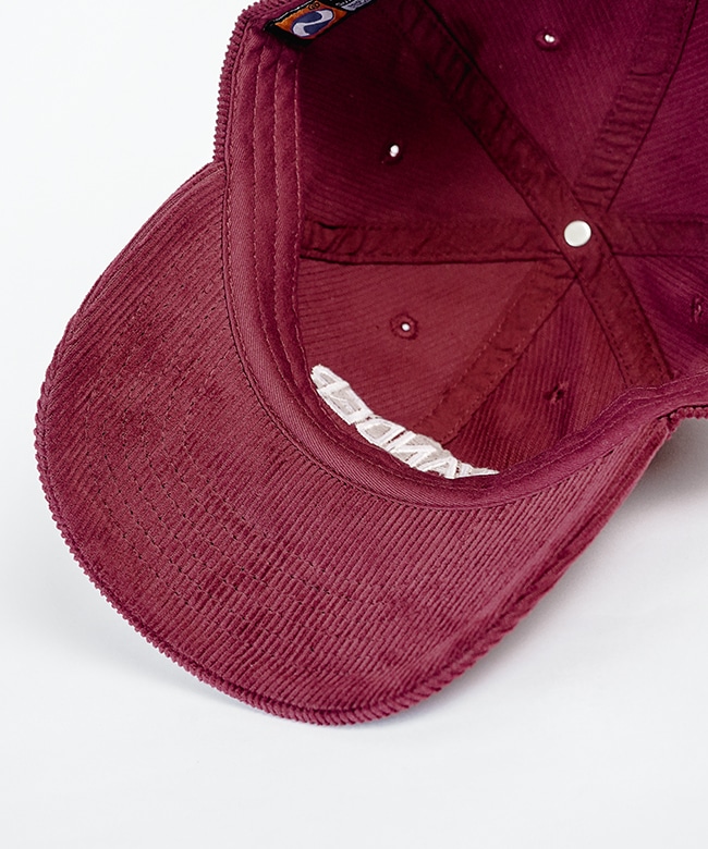 25AMSIT05]THE SHINZONE(ザ シンゾーン) WANDERVOGEL CAP ワンダー