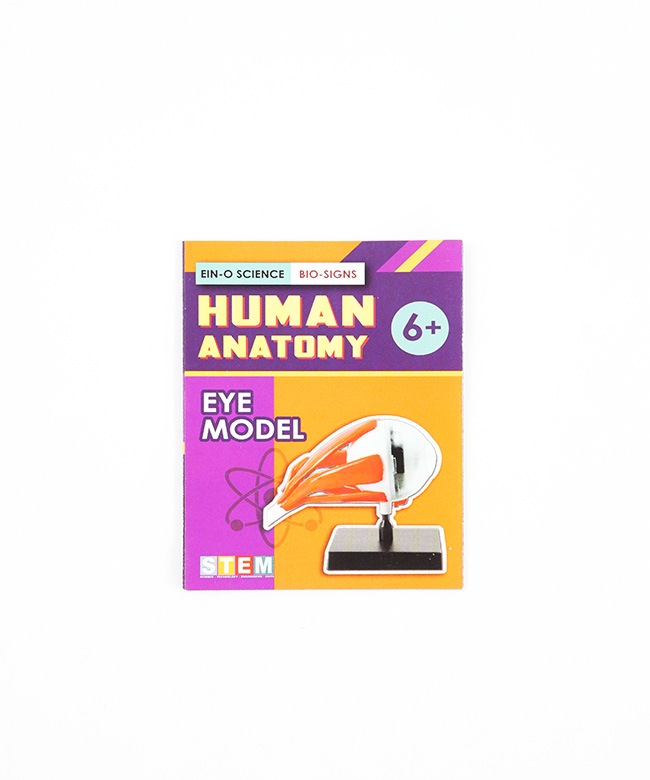 [ES2370EM]EIN-O SCIENCE(アイノー・サイエンス) EYE MODEL アイモデル キッズトイ | ブランドから探す,E ...