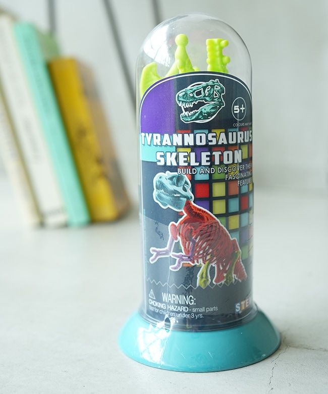 EIN-O SCIENCE(アイノー・サイエンス) TYRANNOSAURUS SKELETON T-REX