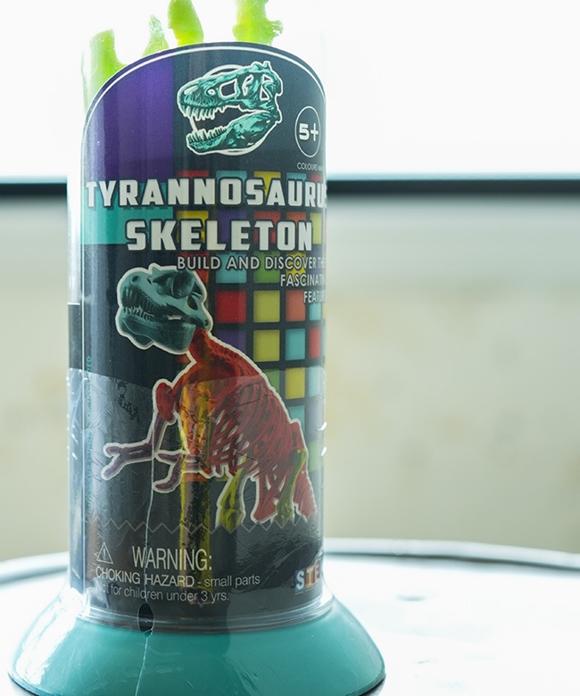 EIN-O SCIENCE(アイノー・サイエンス) TYRANNOSAURUS SKELETON T-REX
