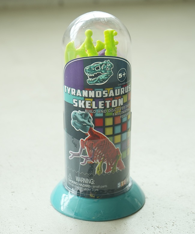 EIN-O SCIENCE(アイノー・サイエンス) TYRANNOSAURUS SKELETON T-REX