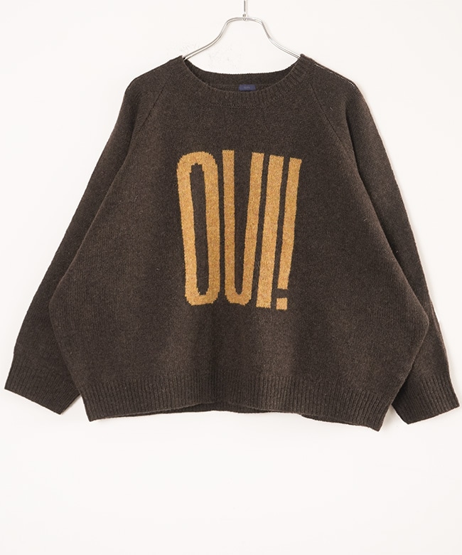 250467]ICHI(イチ) シェットランドウールワイドプルオーバー