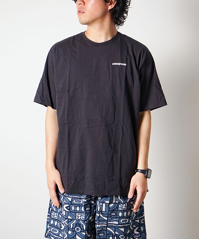 patagonia パタゴニア Tシャツ 半袖 Patagonia メンズ ダイブ