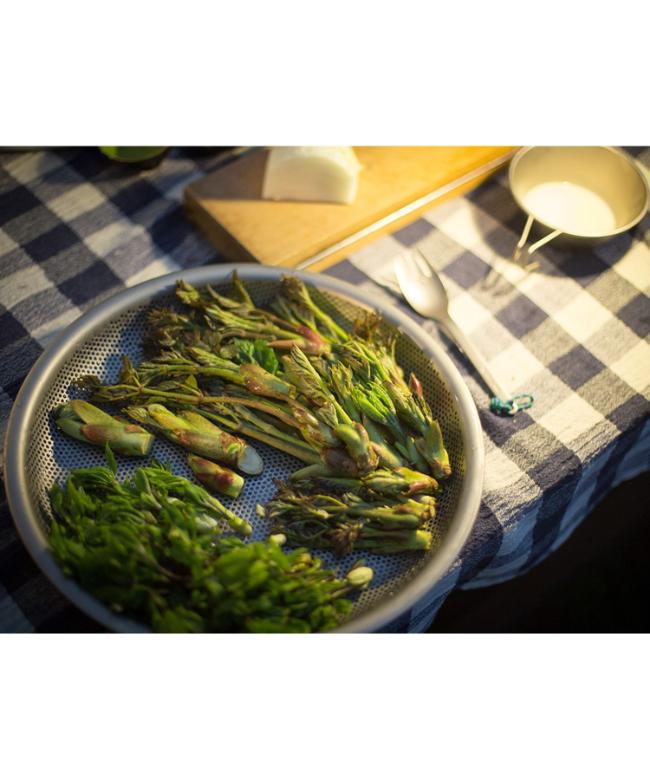 SALE20％OFF】[cs-330]snow peak (スノーピーク ) パーティープレート