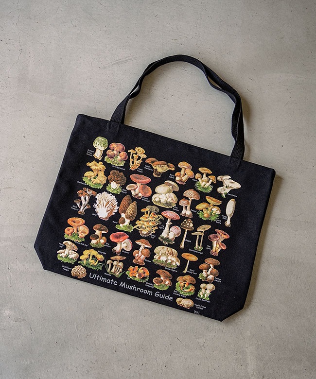 SALE 30%OFF】Wild Cotton(ワイルドコットン) Ultimate Mushroom Guide
