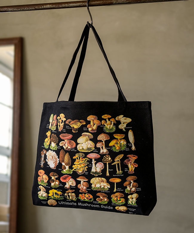 Wild Cotton(ワイルドコットン) Ultimate Mushroom Guide 究極のキノコ