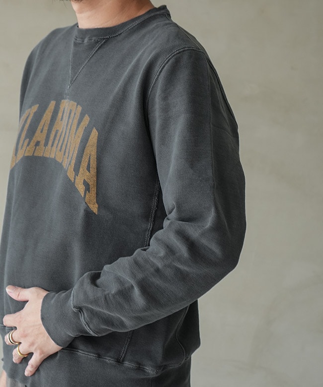 REMI RELIEF ライトブルー トレーナー BRIEFING GOLF ブリーフィング