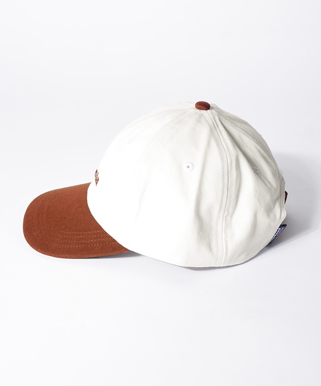 国内正規販売店】Patagonia(パタゴニア) フィッツロイ・アイコン