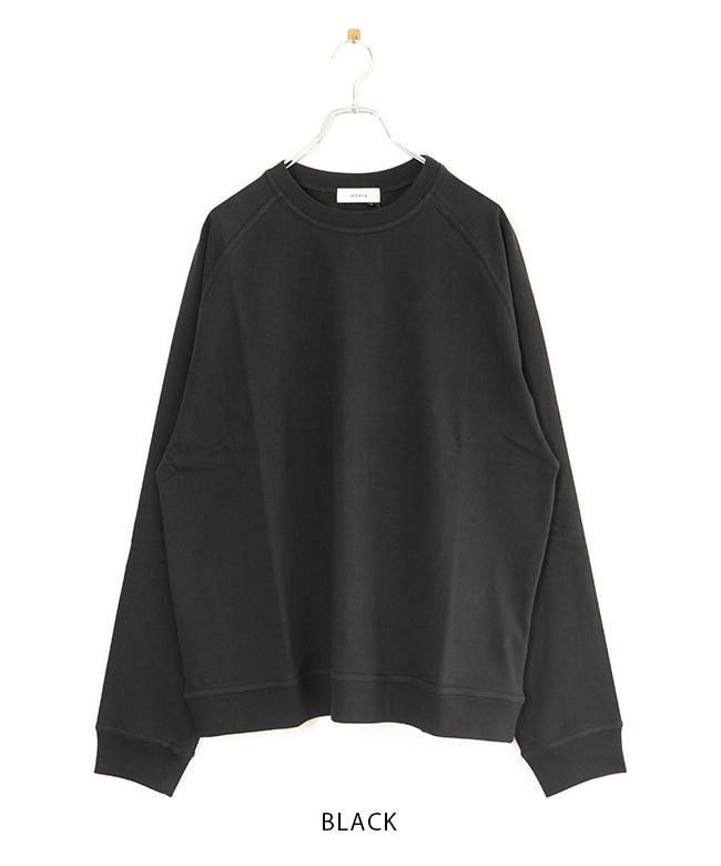 alvana アルヴァナ ロンtee スウェット AFW-25033]alvana(アルヴァナ/アルバナ) Faded jersey raglan long
