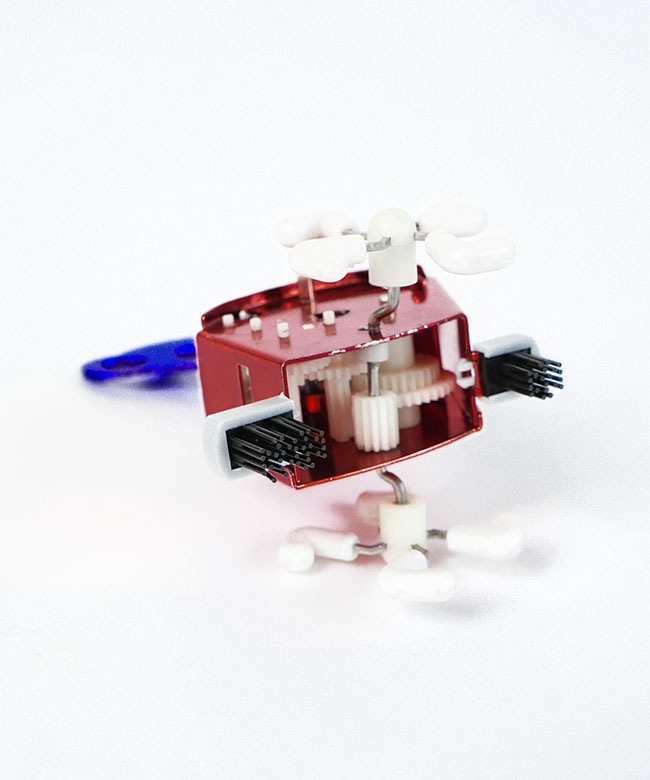 210112]KIKKERLAND(キッカーランド) Wind Up 