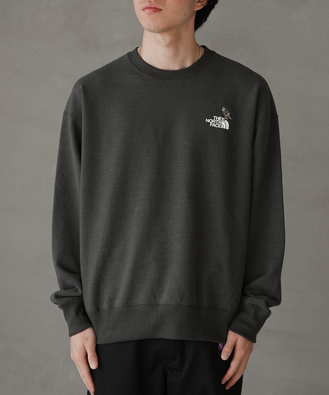 ノースフェイス　スウェット　新品　100 ノースフェイス]GO-TO スウェットシャツ☆新作・24SS☆人気☆ (THE