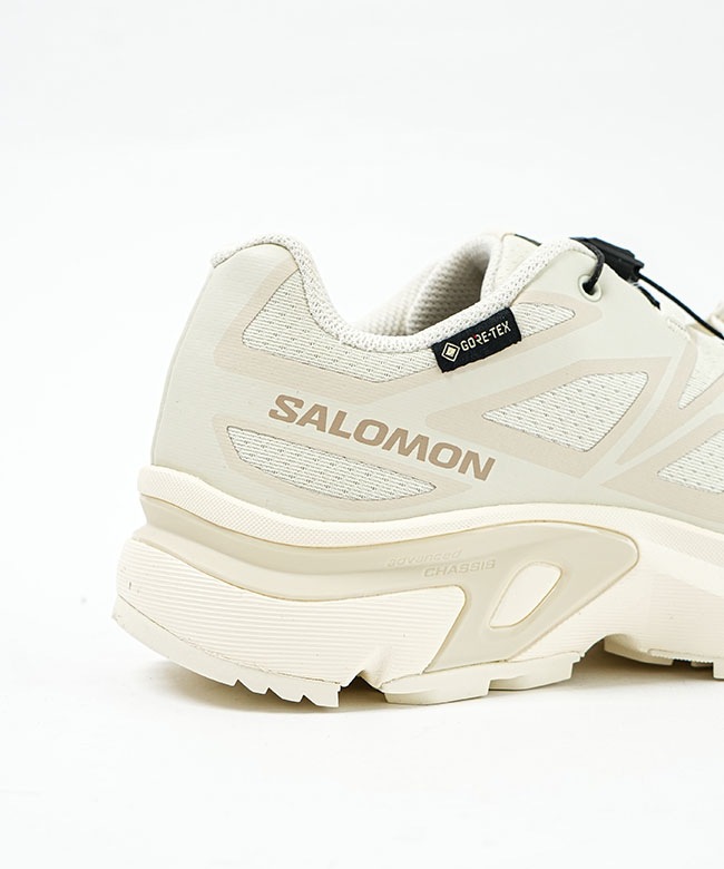 SALOMON EVR(サロモン イーブイアール) XT-EVR GORE-TEX エックス