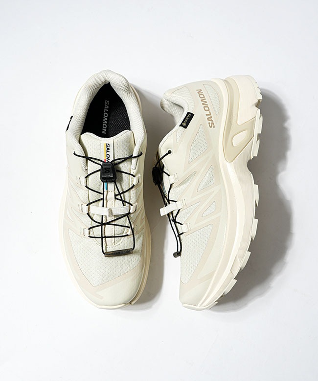 SALOMON EVR(サロモン イーブイアール) XT-EVR GORE-TEX エックス
