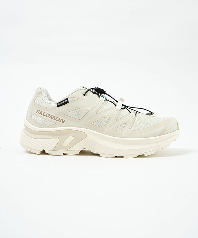 SALOMON EVR(サロモン イーブイアール) XT-EVR GORE-TEX エックス