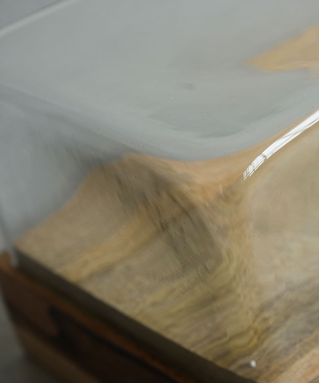 H0140WBRT2]HERE by DETAIL Glass Dome 