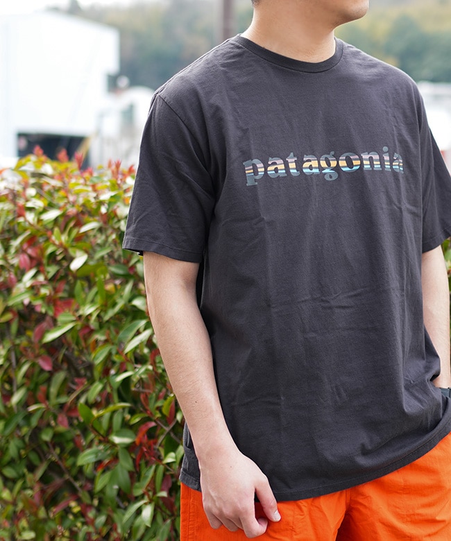 PATAGONIA メンズ 半袖Tシャツ 37762 BLK Patagonia Mens '73 Skyline Organic T-Shirt — TCO Fly Shop