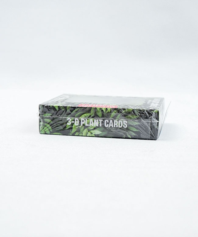 KIKKERLAND(キッカーランド) 3D PLANT CARDS 植物の3Dレンチキュラー