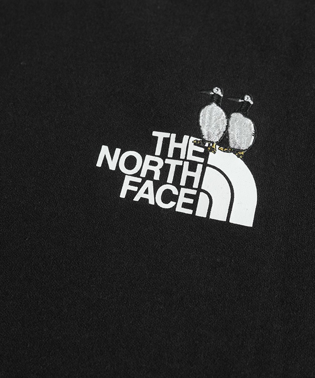 ◇THE NORTH FACE(ザ・ノース・フェイス) S/S Zoo Picker Tee ショート