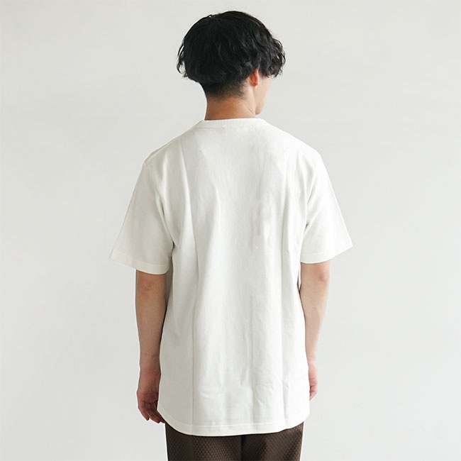 ラコステTシャーツ 6_000000018682.jpg?1684914491