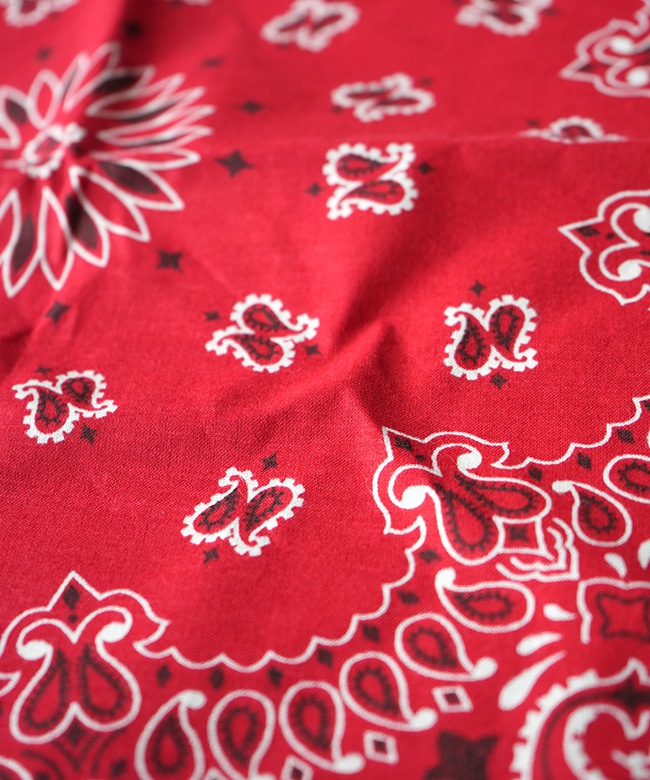 15702300]HAV-A-HANK(ハバハンク)PAISLEY BANDANNA ペイズリー