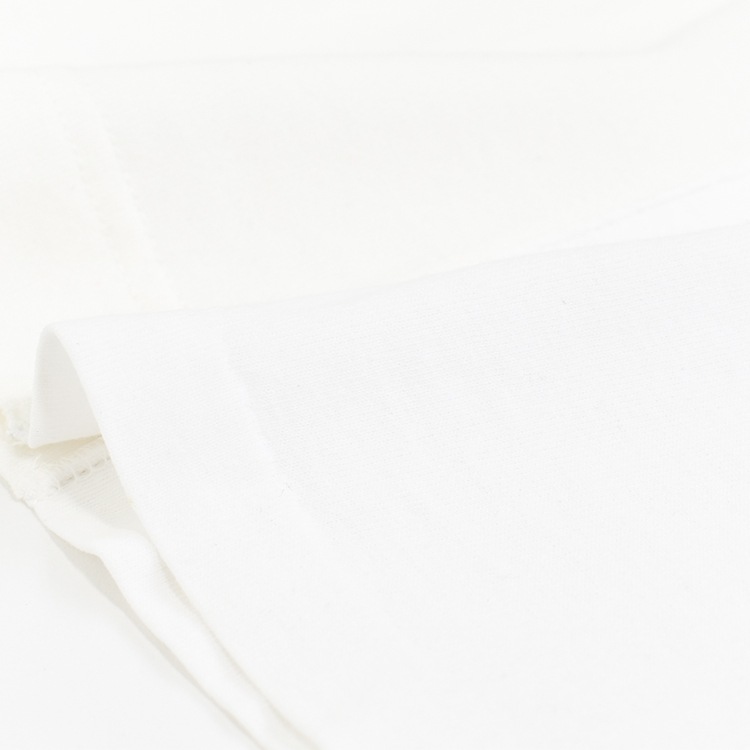 [CH1055] CHANGES (チェンジーズ) REMAKE PRINT BASQUE TEE (リメイクプリントバスクTシャツ)の商品画像