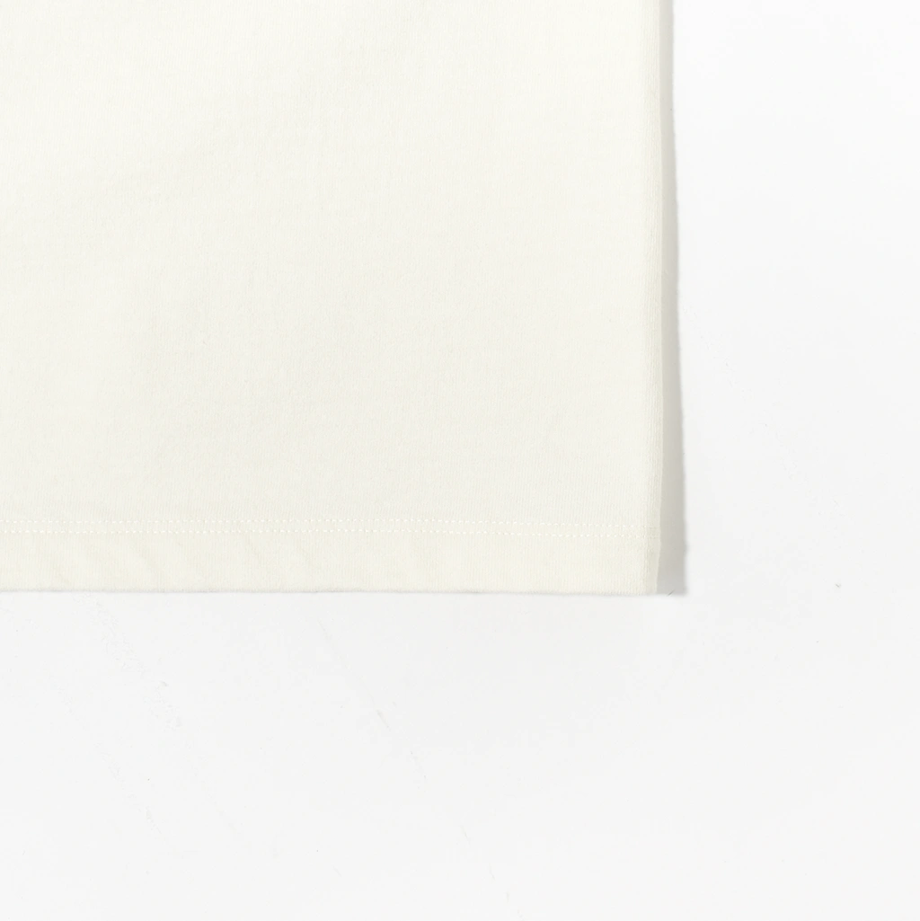 (241OJ-CT03)OLD JOE(オールドジョー)TUBE TEE(CREW-NECK) (チューブTクルーネック)の商品画像