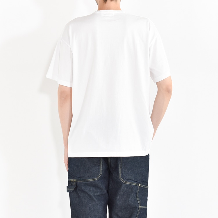 SF-242147]SASSAFRAS (ササフラス) Cultivator T 1/2 (カルティ